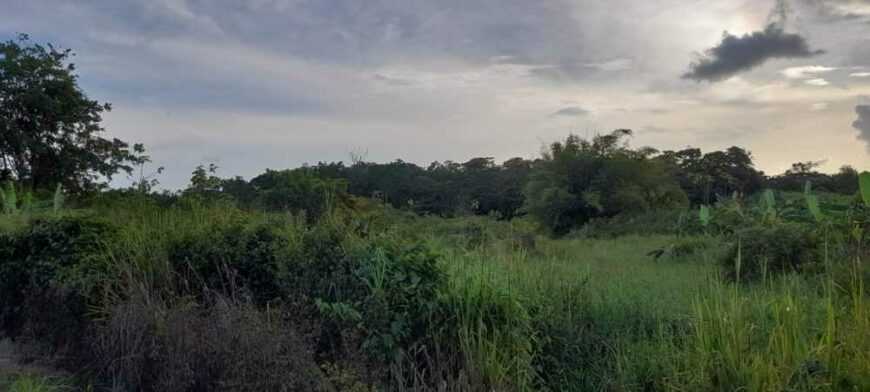 9 acres of land for sale with Deed
