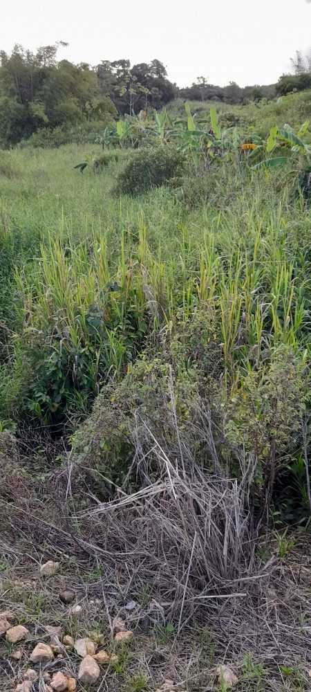 9 acres of land for sale with Deed