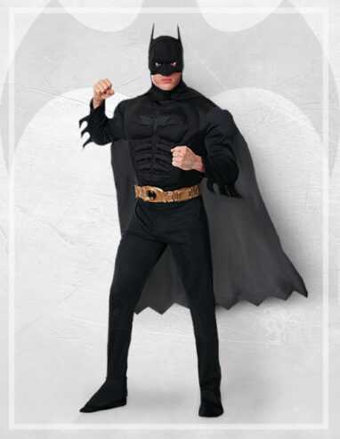 Batman Character Mascot. Adult size.