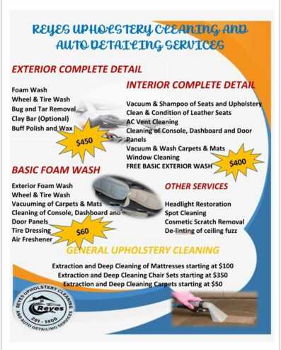 Auto Detailing and House chair cleaning