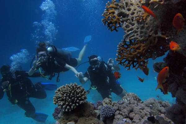 Private Scuba Diving In Dominican Republic: Personalized Dive Adventures