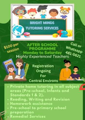 Bright Minds Tutoring Services- Central