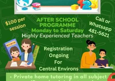 Bright-Minds-Tutoring-Services-Flyer