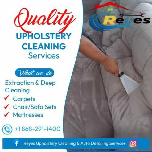 Auto Detailing and House chair cleaning services