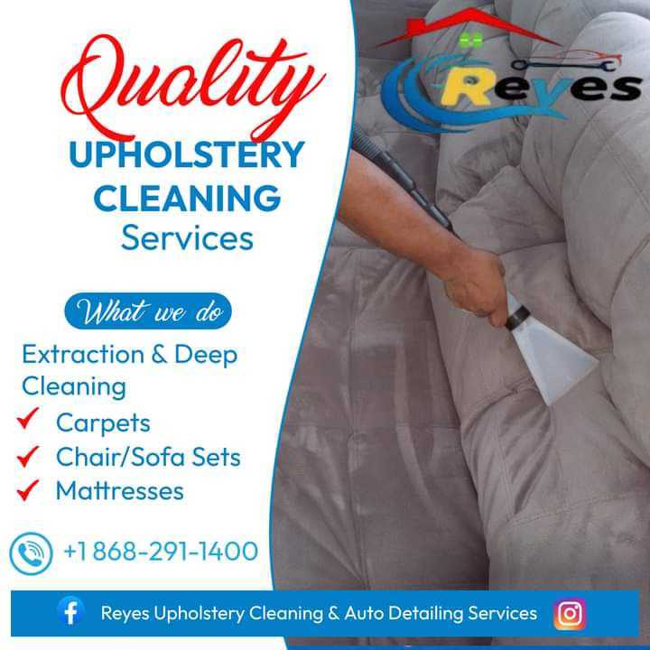 Auto Detailing and House chair cleaning services