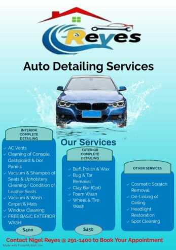 Auto Detailing and House chair cleaning services