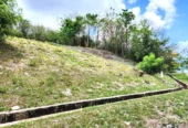 Land for Sale in Tobago